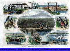 Rice_culture_on_the_Ogeechee_near_Savannah_Georgia