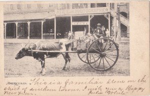 KeilyStudioPostcard1905