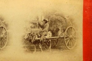 Wilson & Havens oxcart closeup