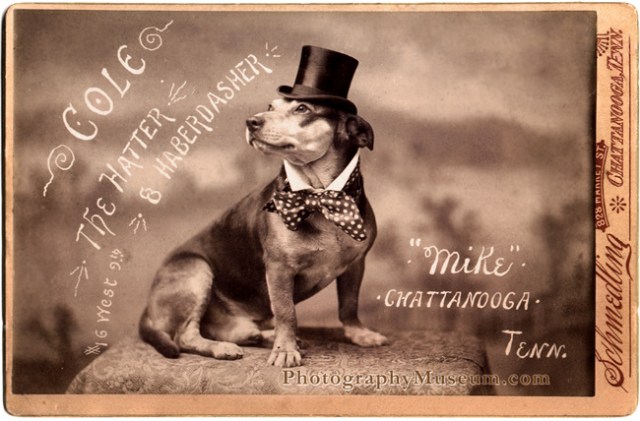 colethehatter650WMKSchmedling