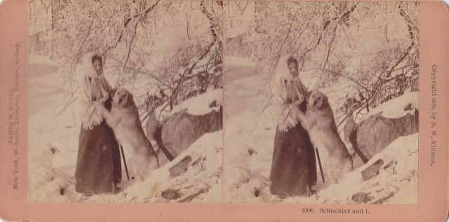 Davis, James M. for B.W.Kilburn stereo no.5009 Schneider and I