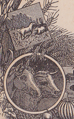 J.A. Pugh backmark detail7 animals